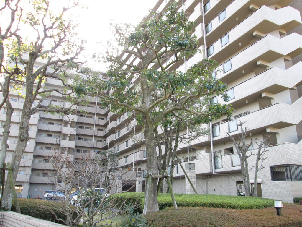 サーパス白川2番館805